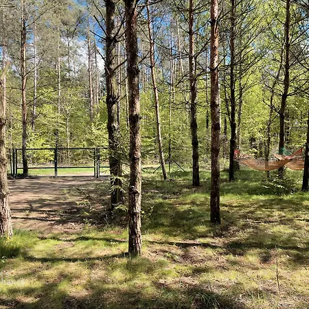 Przy Lesie Mazury